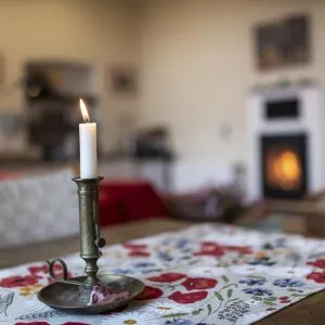 Ferienwohnung Ostwind (4)