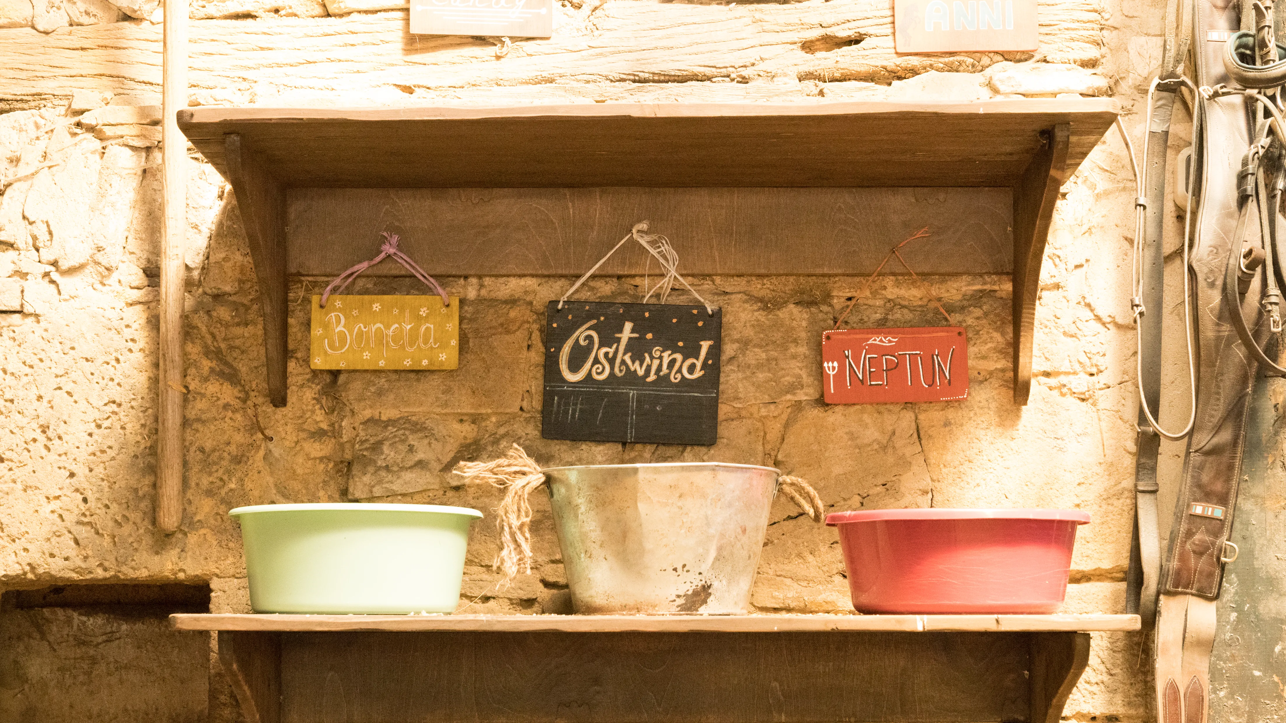 Ostwind-Filmbild (8)